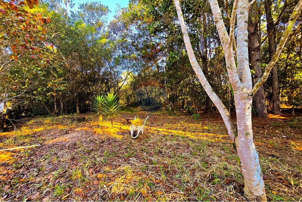 Chácara / Sítio / Fazenda - Venda - Pardinho , São Paulo - 36-20250730_152701.jpg - 630481103-147