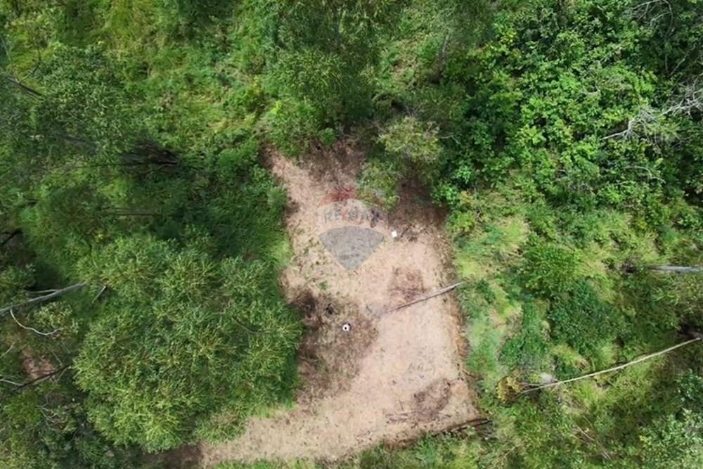 Terreno - Venda - Mairiporã , São Paulo - WhatsApp Image 2026-02-28 at 22.04.57.jpeg - 631361077-14