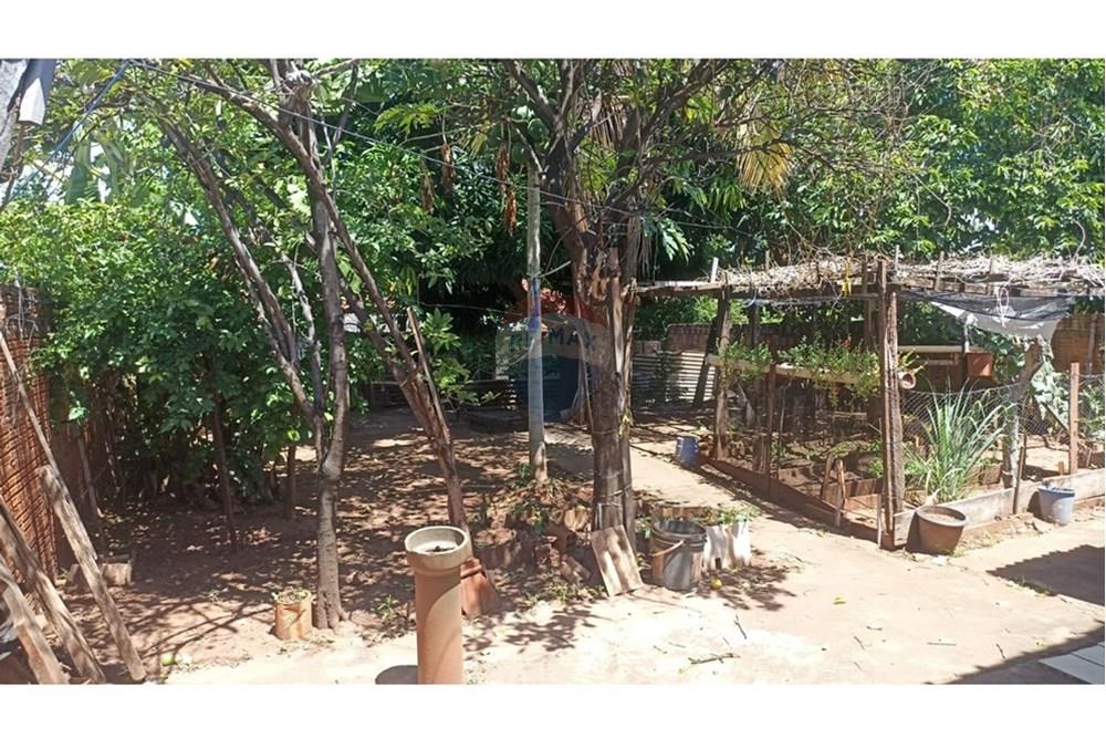 Casa - Venda - Andradina , São Paulo - WhatsApp Image 2025-05-30 at 07.54.58.jpeg - 631201029-71