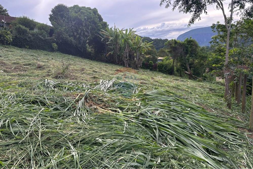 Terreno - Venda - Bom Jardim , Rio de Janeiro - 04e5b7ed-13ea-4b8f-b316-7e1efb433245.jpg - 630171006-70