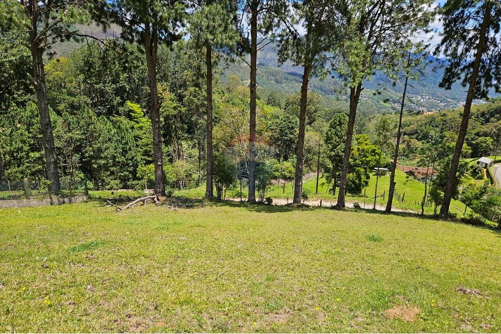 Terreno - Venda - Nova Friburgo , Rio de Janeiro - 20251111_104017.jpg - 630551024-83