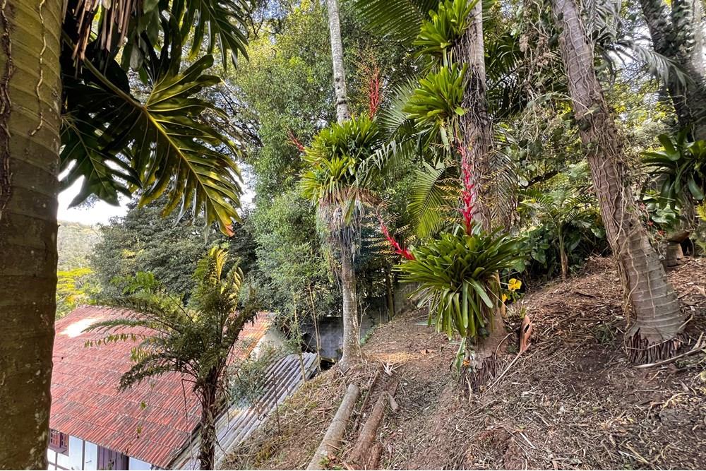 Terreno - Venda - Ribeirão Pires , São Paulo - 33.jpg - 631371011-62