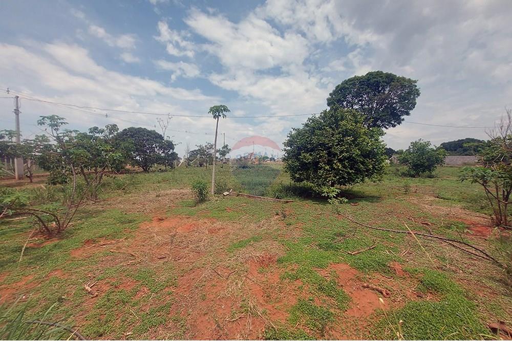 Chácara / Sítio / Fazenda - Venda - Taciba , São Paulo - Chacara Taciba (16).jpg - 630861066-19