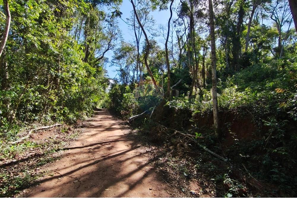 Terreno - Venda - Mairiporã , São Paulo - Terreno rafael 5.jpg - 631361059-12