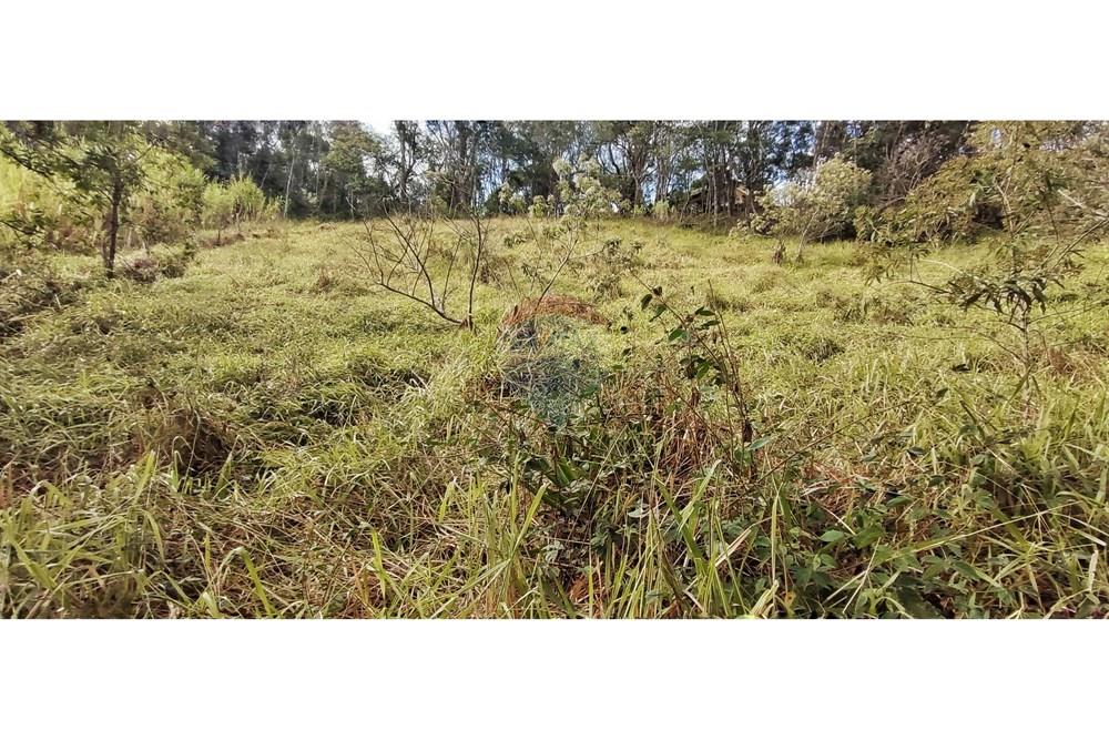 Terreno - Venda - Petrópolis , Rio de Janeiro - IMG_20250814_092721.jpg - 630131061-30