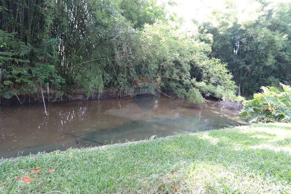 Chácara / Sítio / Fazenda - Venda - São Roque , São Paulo - IMG_6313.JPG - 631601019-36