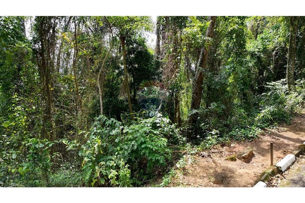 Terreno - Venda - Ilhabela , São Paulo - DJI_0825.00_00_28_38.Quadro002.jpg - 630951011-33