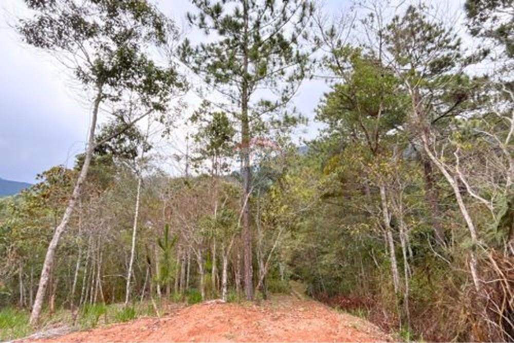 Terreno - Venda - Petrópolis , Rio de Janeiro - 21.jpg - 631611002-13