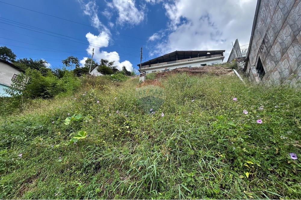 Terreno - Venda - Nova Friburgo , Rio de Janeiro - IMG_8171.JPG - 630551023-214