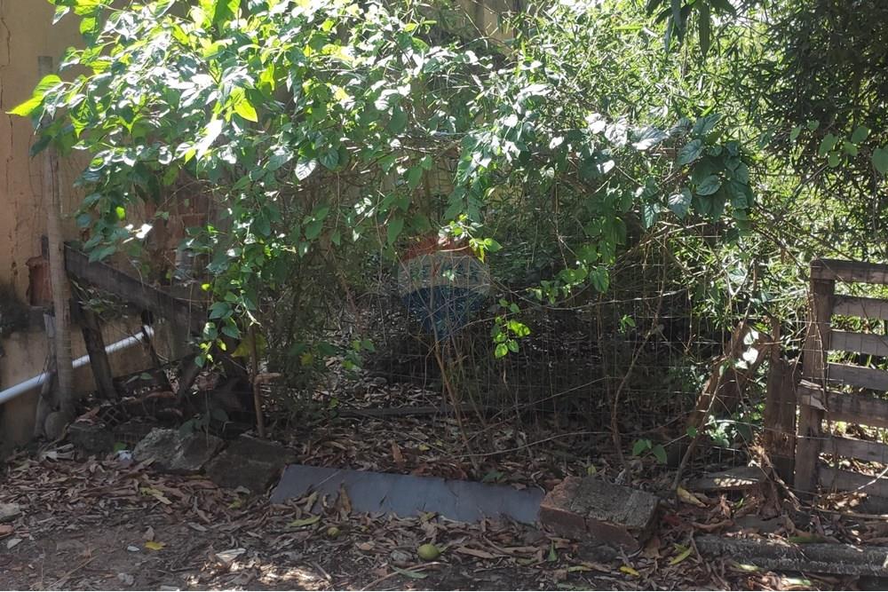 Terreno - Venda - Paraíba do Sul , Rio de Janeiro - IMG_20251106_140022.jpg - 631411001-102