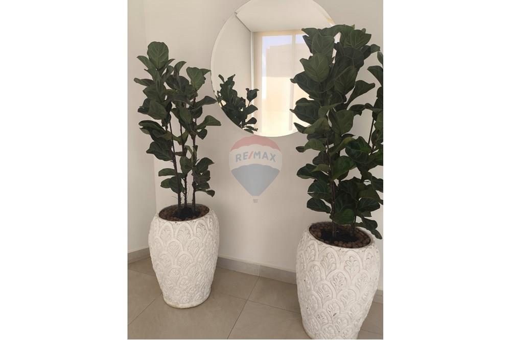 Apartamento - Alugar - Araçatuba , São Paulo - IMG-20251222-WA0105.jpg - 630541058-69