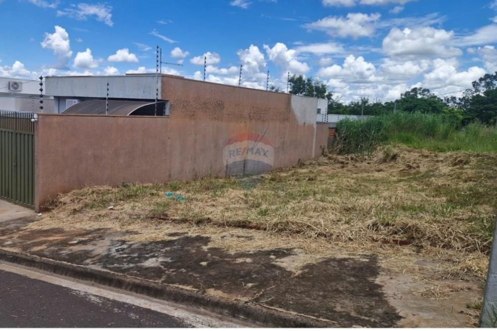 Terreno - Venda - Presidente Prudente , São Paulo - WhatsApp Image 2026-03-18 at 12.21.56 (2).jpeg - 630091070-4