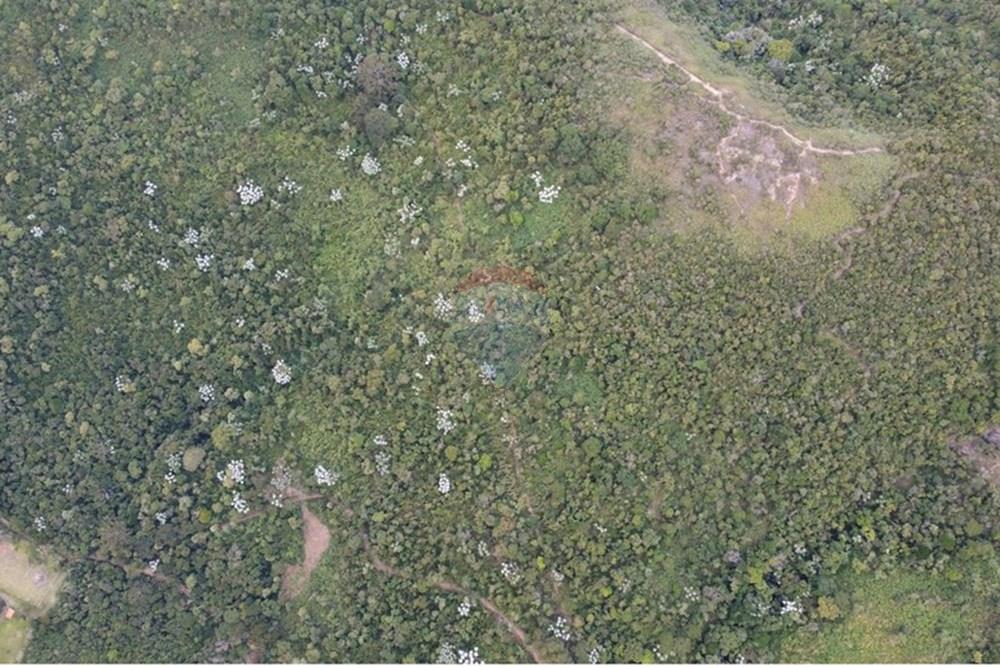 Terreno - Venda - Petrópolis , Rio de Janeiro - 6.jpg - 631611002-8