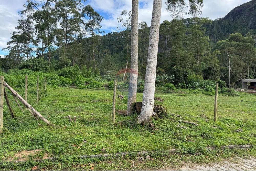 Terreno - Venda - Nova Friburgo , Rio de Janeiro - WhatsApp Image 2025-04-29 at 14.53.38 (2).jpeg - 630551023-218