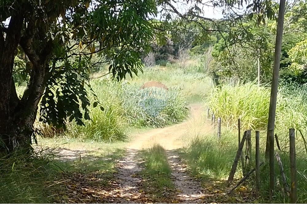 Terreno - Venda - Paraíba do Sul , Rio de Janeiro - IMG_20250225_111817_HDR.jpg - 631411001-104