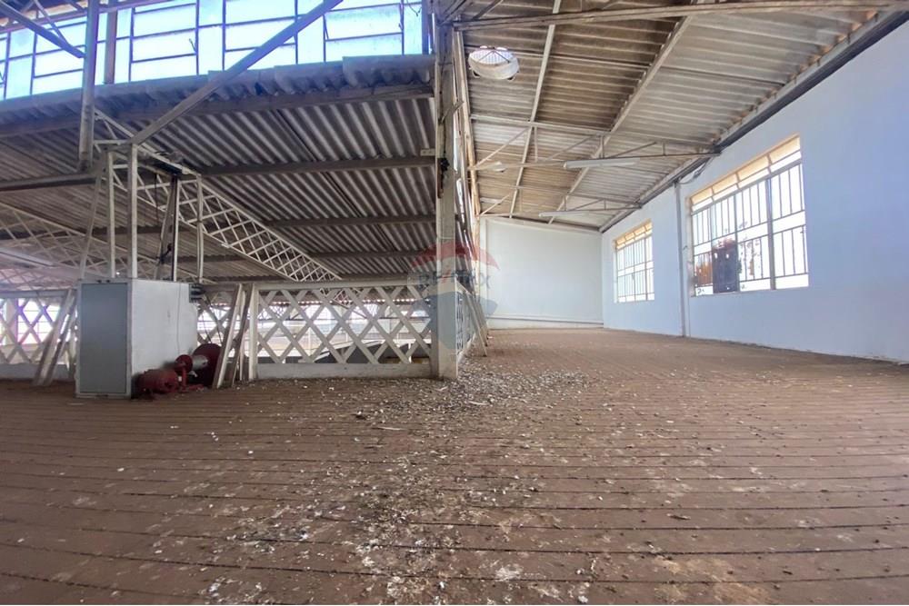 Galpão - Alugar - Botucatu , São Paulo - WhatsApp Image 2025-02-11 at 15.52.20.jpeg - 630481079-234