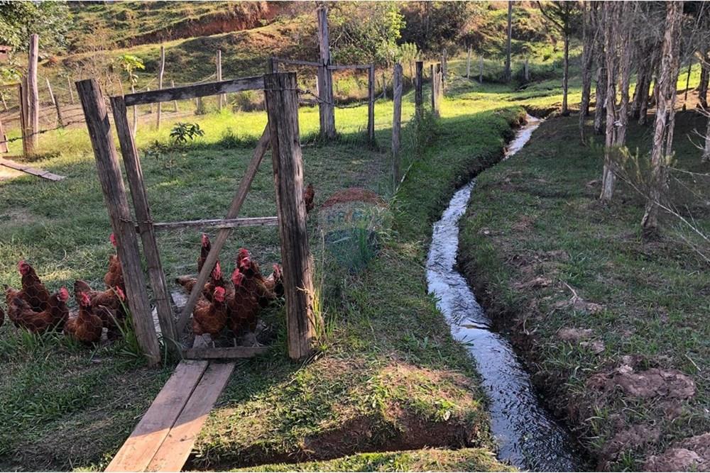 Chácara / Sítio / Fazenda - Venda - Monteiro Lobato , São Paulo - IMG-20240726-WA0117.jpg - 631431003-134
