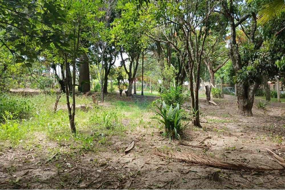 Chácara / Sítio / Fazenda - Venda - Salto de Pirapora , São Paulo - 230.jpeg - 631181053-21