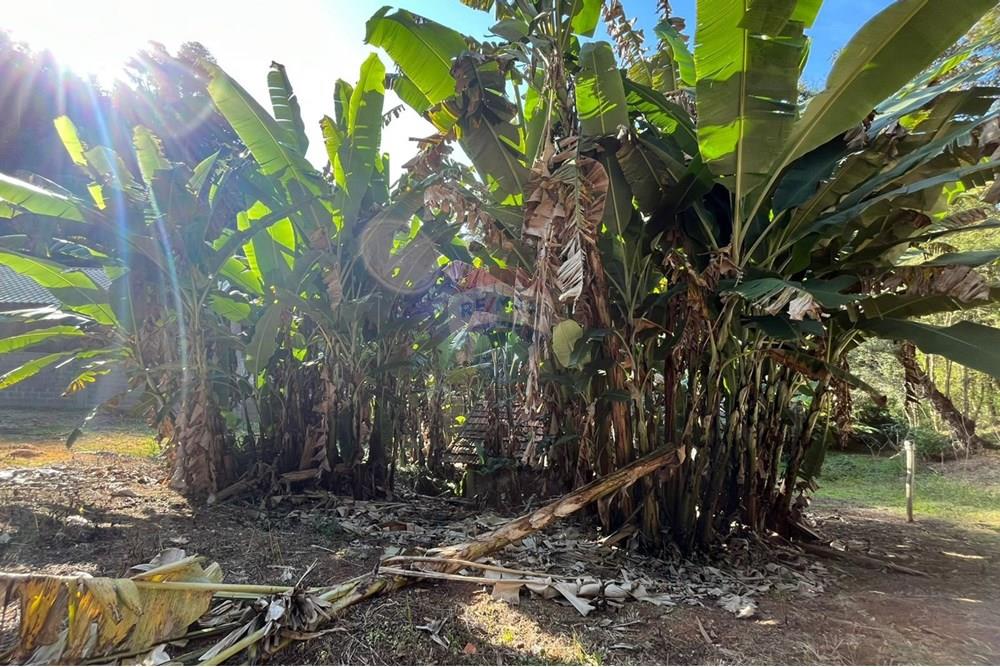 Terreno - Venda - Teresópolis , Rio de Janeiro - WhatsApp Image 2025-08-04 at 12.42.34 (2).jpeg - 630191097-3