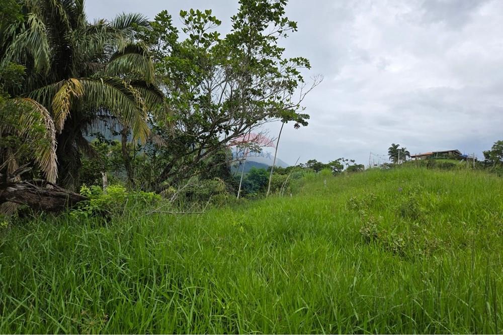 Terreno - Venda - Ilhabela , São Paulo - WhatsApp Image 2026-02-03 at 15.53.56 (2).jpeg - 630951006-37