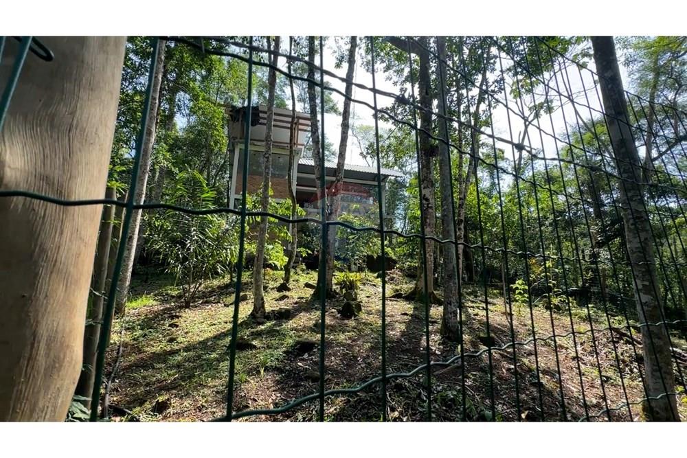 Terreno - Venda - Ilhabela , São Paulo - f4574d67-59c4-4f4d-b3aa-f0a06c60229d.jpeg - 690881044-5