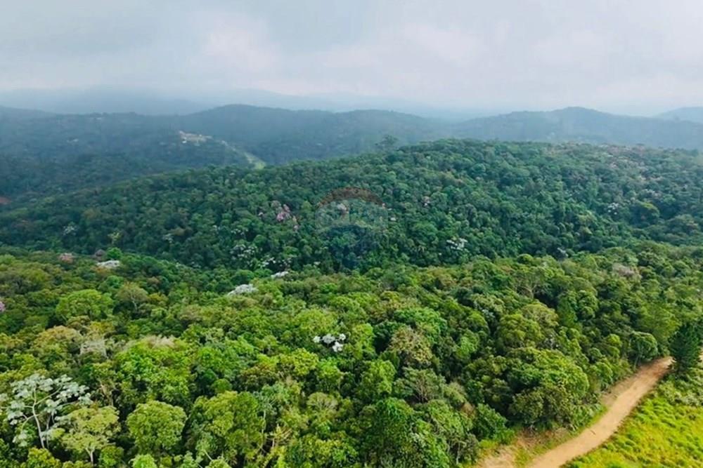 Chácara / Sítio / Fazenda - Venda - Mairiporã , São Paulo - WhatsApp Image 2026-02-17 at 14.23.39 (3).jpeg - 631361077-13