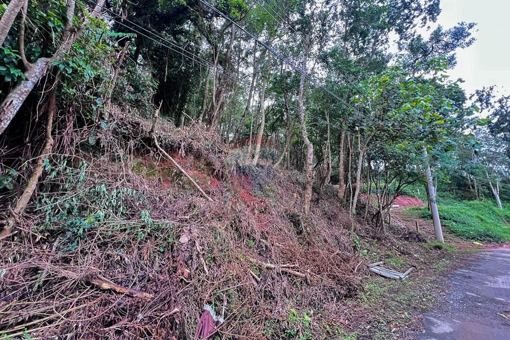 Terreno - Venda - Ribeirão Pires , São Paulo - 5.jpg - 631371054-1