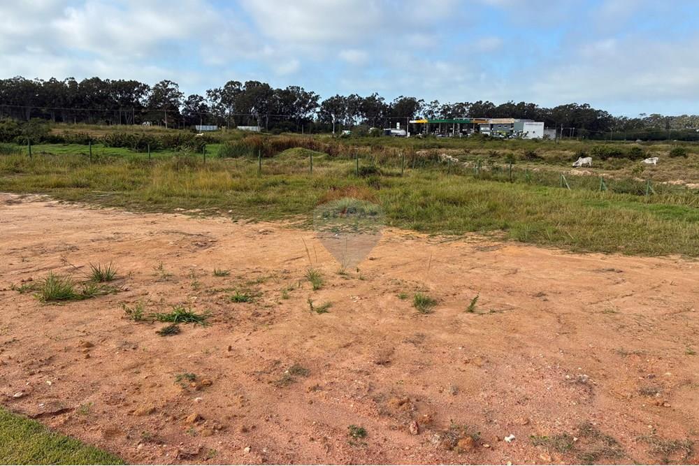 Terreno - Venda - Armação dos Búzios , Rio de Janeiro - IMG_4860.jpg - 630391127-6