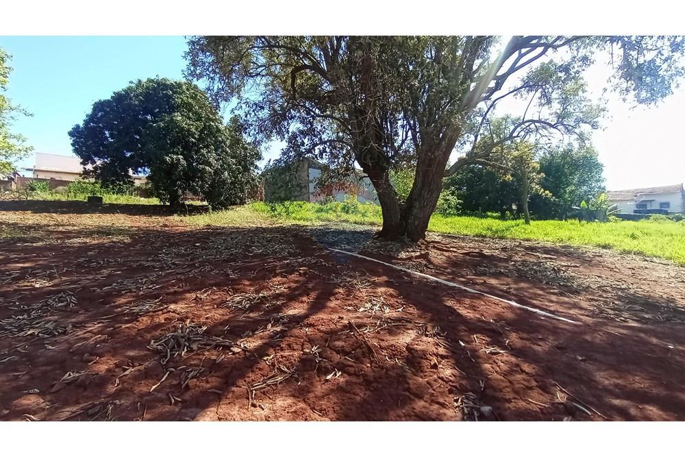 Terreno - Venda - Botucatu , São Paulo - 11-IMG_20251107_085524.jpg - Quintal - 630481103-134