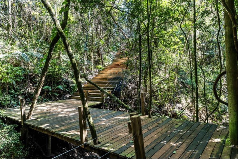 Terreno - Venda - Pardinho , São Paulo - 847492459ccd797ce71f45a4f0a75d42.jpg - 630481103-120