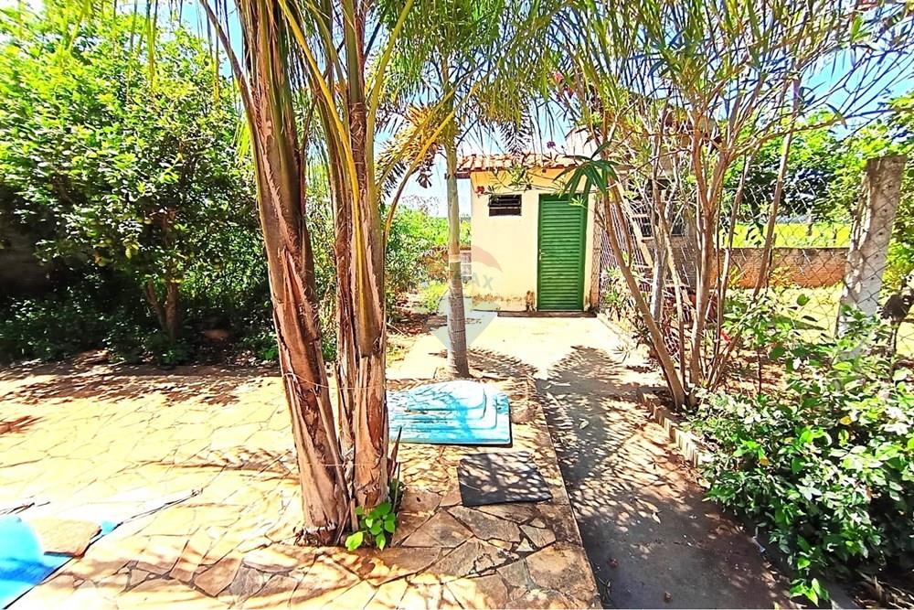 Casa de Campo - Venda - Castilho , São Paulo - Fundos 5.jpg - 631201014-77