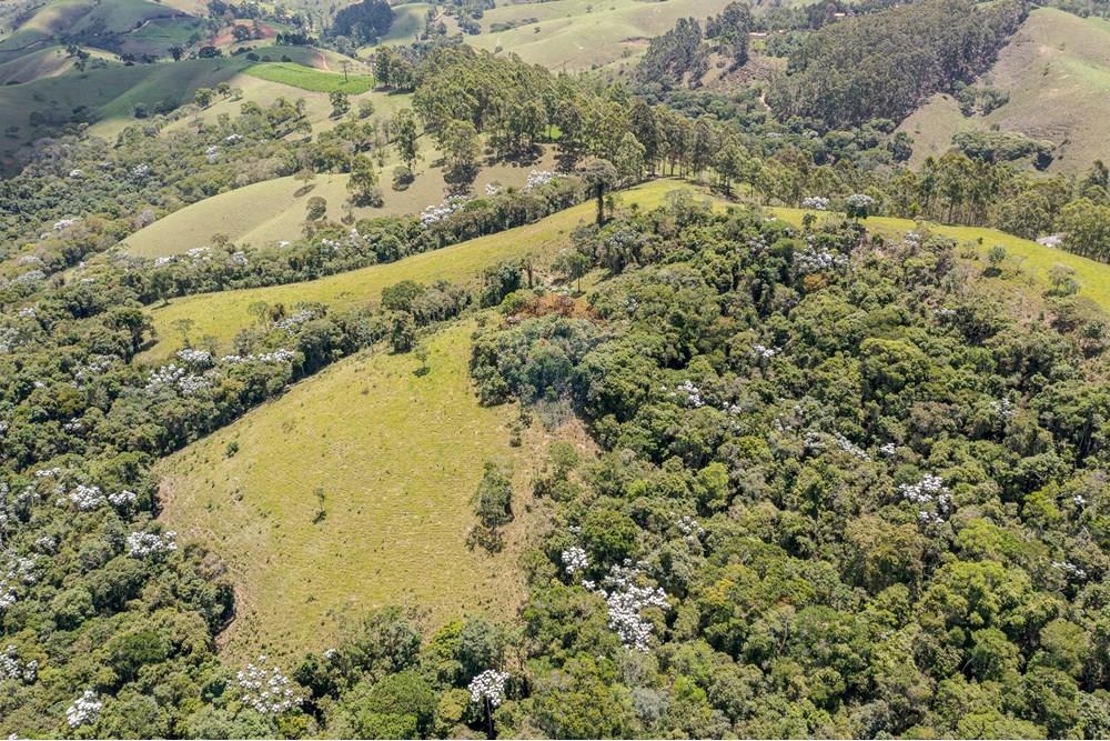 Chácara / Sítio / Fazenda - Venda - Guaratinguetá , São Paulo - FazendaITAJIBA-29.jpg - 630961014-63