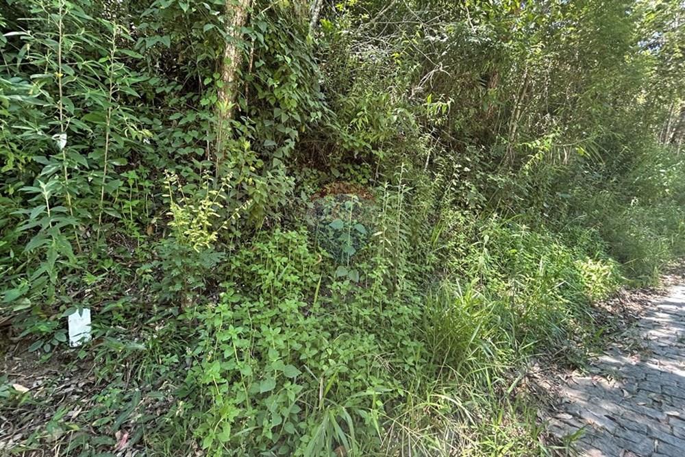 Terreno - Venda - Nova Friburgo , Rio de Janeiro - IMG_6782.JPG - 630551037-40