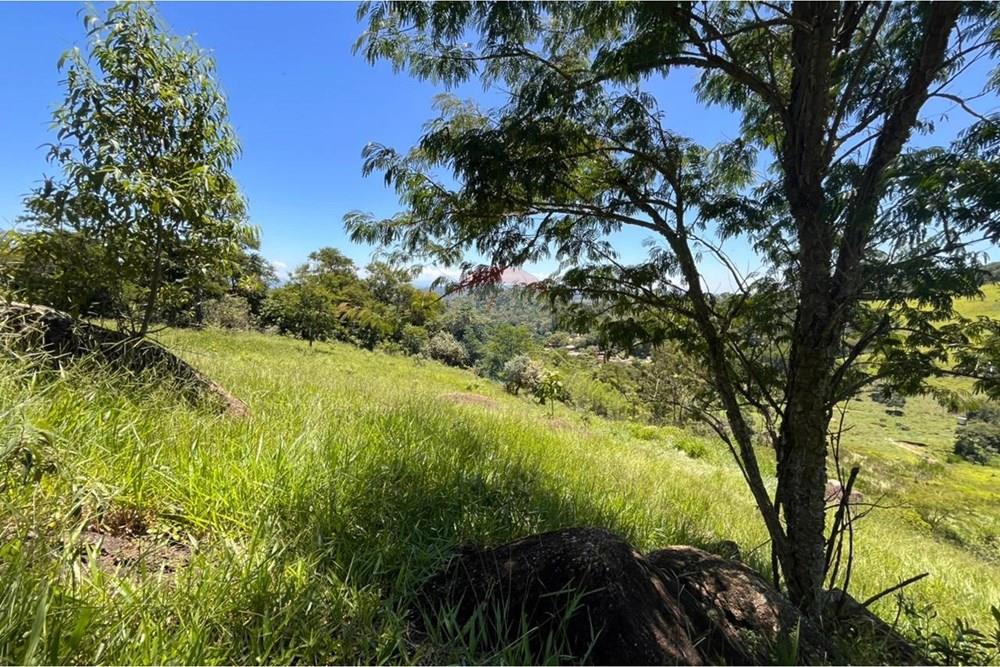 Terreno - Venda - Mogi das Cruzes , São Paulo - WhatsApp Image 2026-02-24 at 13.22.12.jpeg - 631251058-2