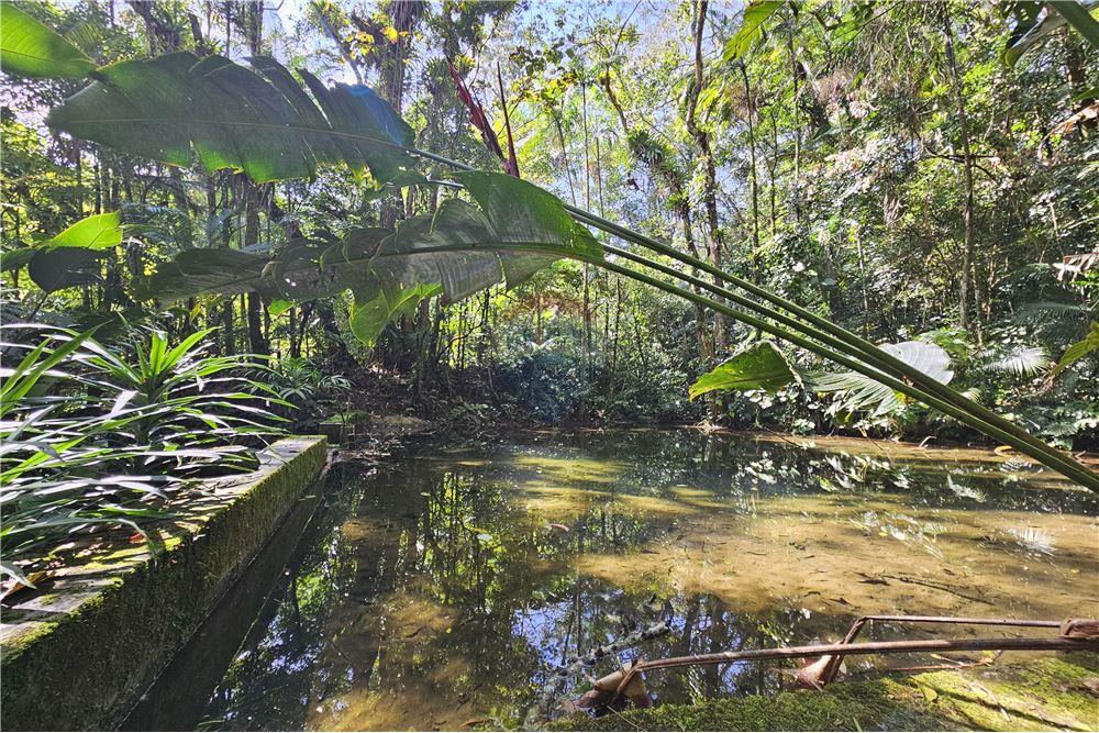 Residential - फार्म - Nova Friburgo , रिओ डे जैनेरो - BR - 86 - 630551016-150