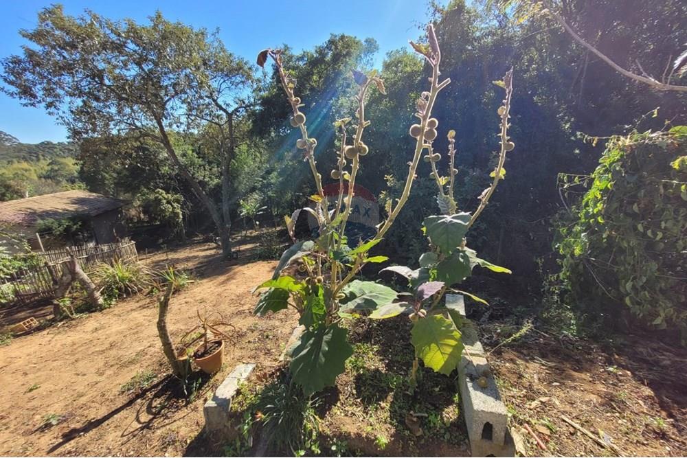 Chácara / Sítio / Fazenda - Venda - Ibiúna , São Paulo - 23.jpeg - 631331004-46