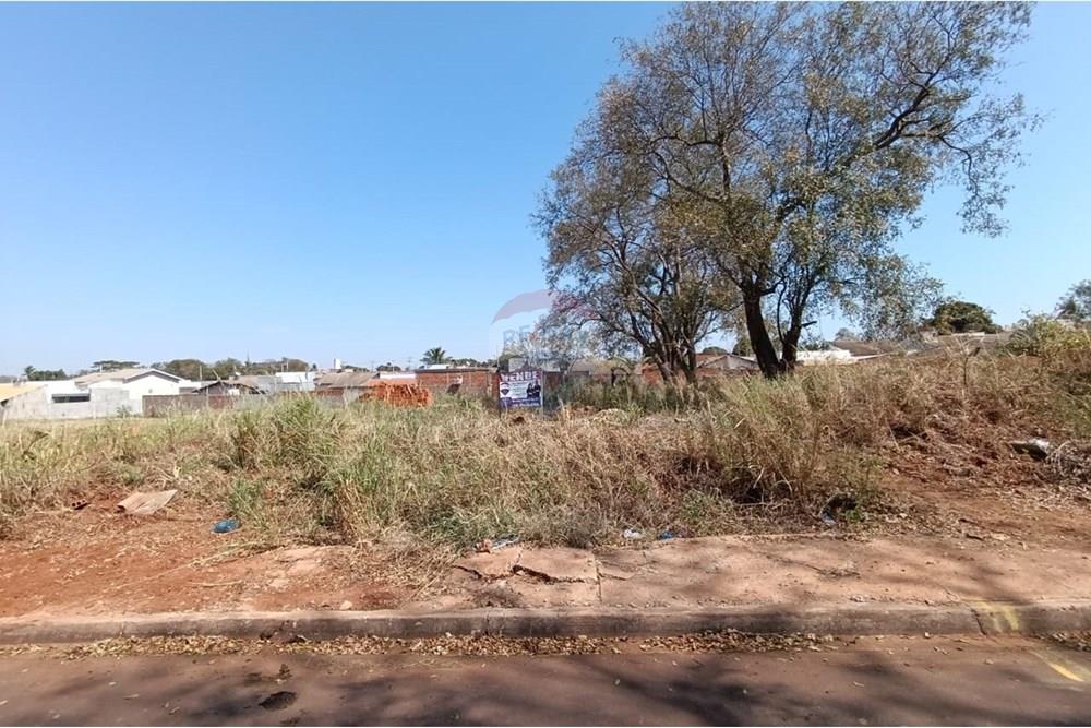 Terreno - Venda - Andradina , São Paulo - IMG-20250821-WA0058.jpg - 631201035-67