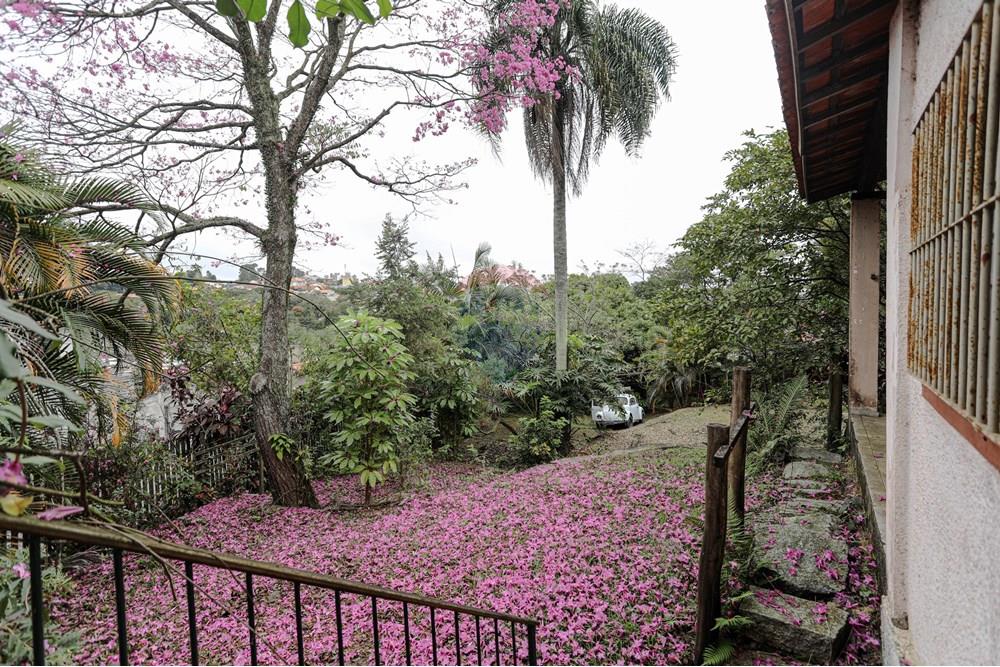 Chácara / Sítio / Fazenda - Venda - Poá , São Paulo - REMAX-44.jpg - 630281071-5