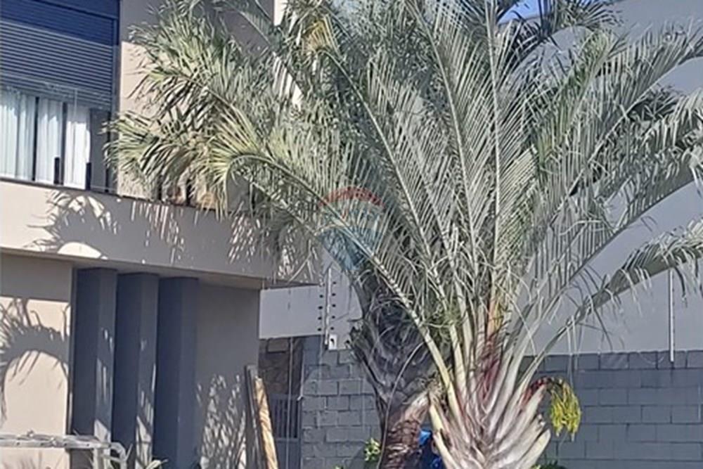 Casa de Condomínio - Alugar - São José dos Campos , São Paulo - 5494c995-f709-41f8-8056-bc6e1aa0cfb5.jpeg - 631471058-6