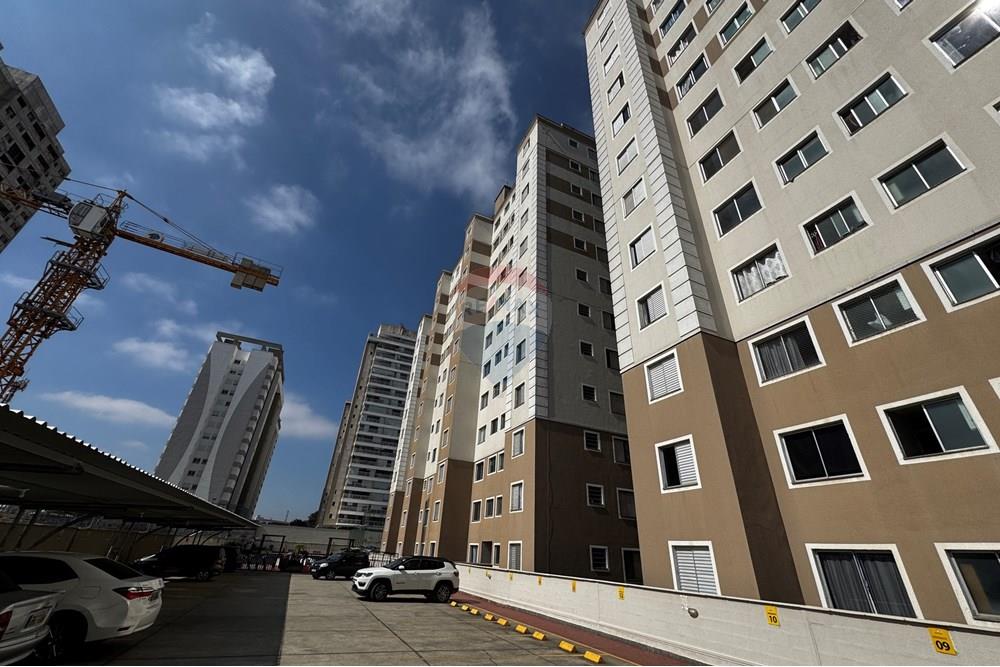 Apartamento - Alugar - São José dos Campos , São Paulo - 20250801_135750545_iOS.jpg - 631471001-145