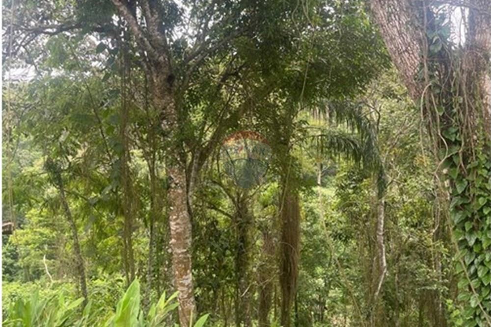 Terreno - Venda - Mairiporã , São Paulo - Foto1.jpeg - 631361077-12