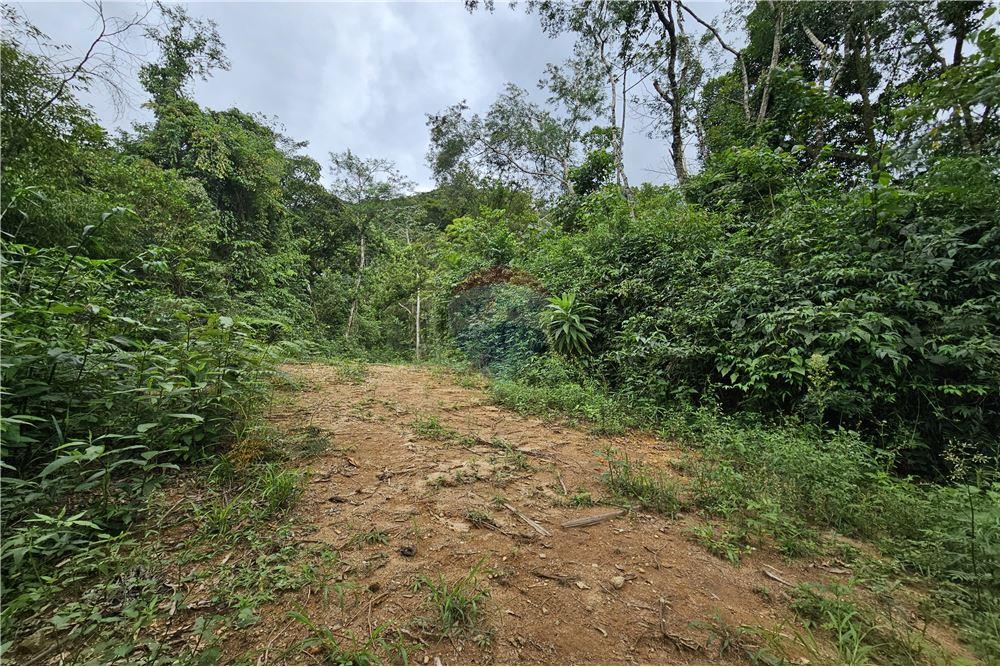 Residential - भूमि - Nova Friburgo , रिओ डे जैनेरो - BR - 45 - 630551016-143