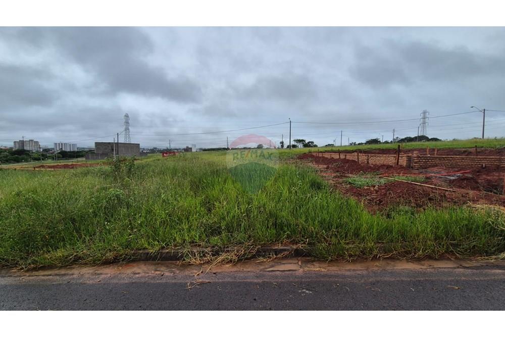 Terreno - Venda - São José do Rio Preto , São Paulo - FOTO 4.JPEG - 630401013-154