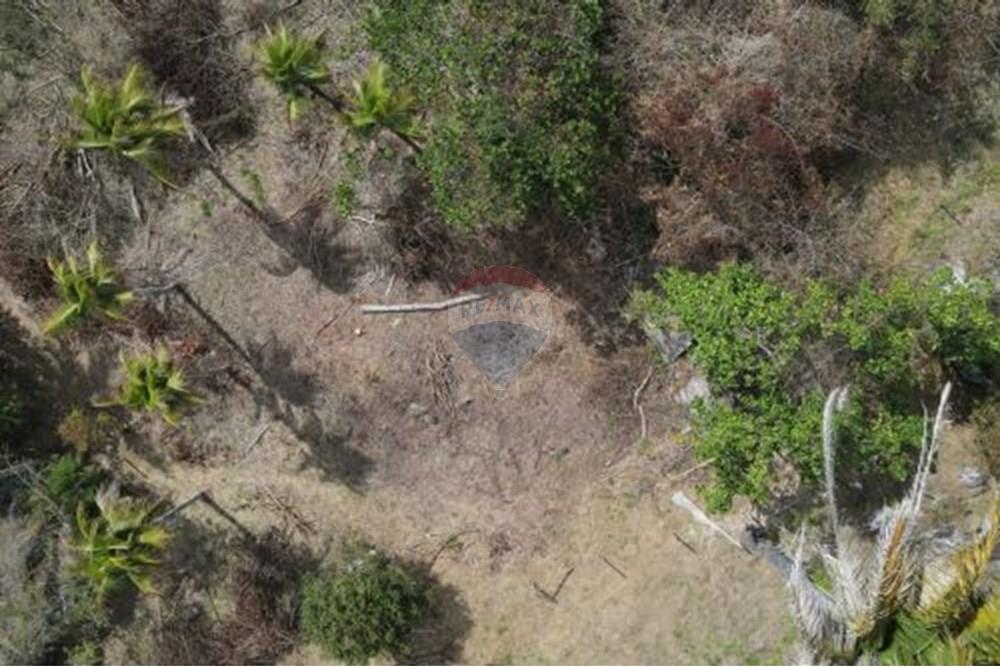 Terreno - Venda - Paraíba do Sul , Rio de Janeiro - 3.jpg - 631611011-3