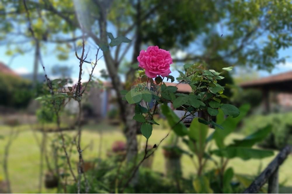 Casa - Venda - Teresópolis , Rio de Janeiro - WhatsApp Image 2025-12-15 at 16.20.25 (1).jpeg - 630191109-9