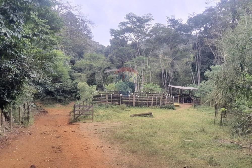 Fazenda - Venda - Teresópolis , Rio de Janeiro - 20250702_132709.jpg - 630191078-25