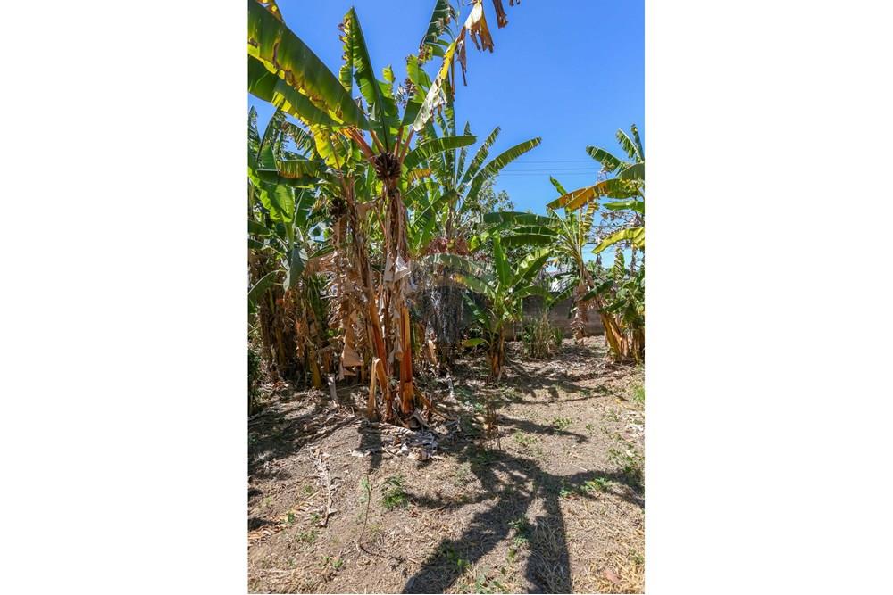 Terreno - Venda - Sorocaba , São Paulo - IMG_4867.jpg - 630601207-23