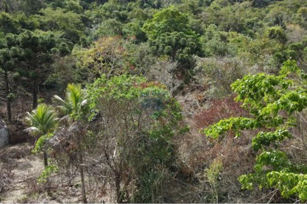 Terreno - Venda - Paraíba do Sul , Rio de Janeiro - 19.jpg - 631611011-3