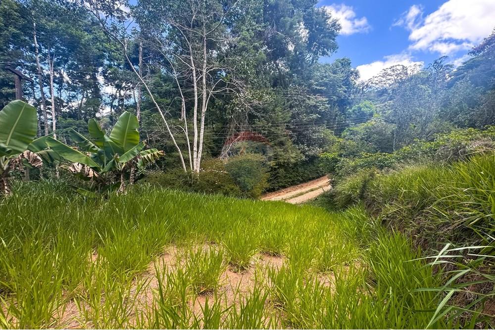 Terreno - Venda - Teresópolis , Rio de Janeiro - WhatsApp Image 2025-03-19 at 22.26.42 (1).jpeg - 630191021-109