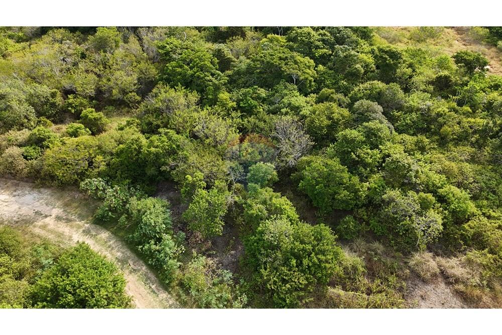 Terreno - Venda - Armação dos Búzios , Rio de Janeiro - dji_fly_20250310_154408_0016_1742265331726_photo.JPG - 630391033-19